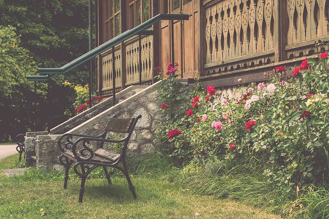 横滨水手V 横滨水手V