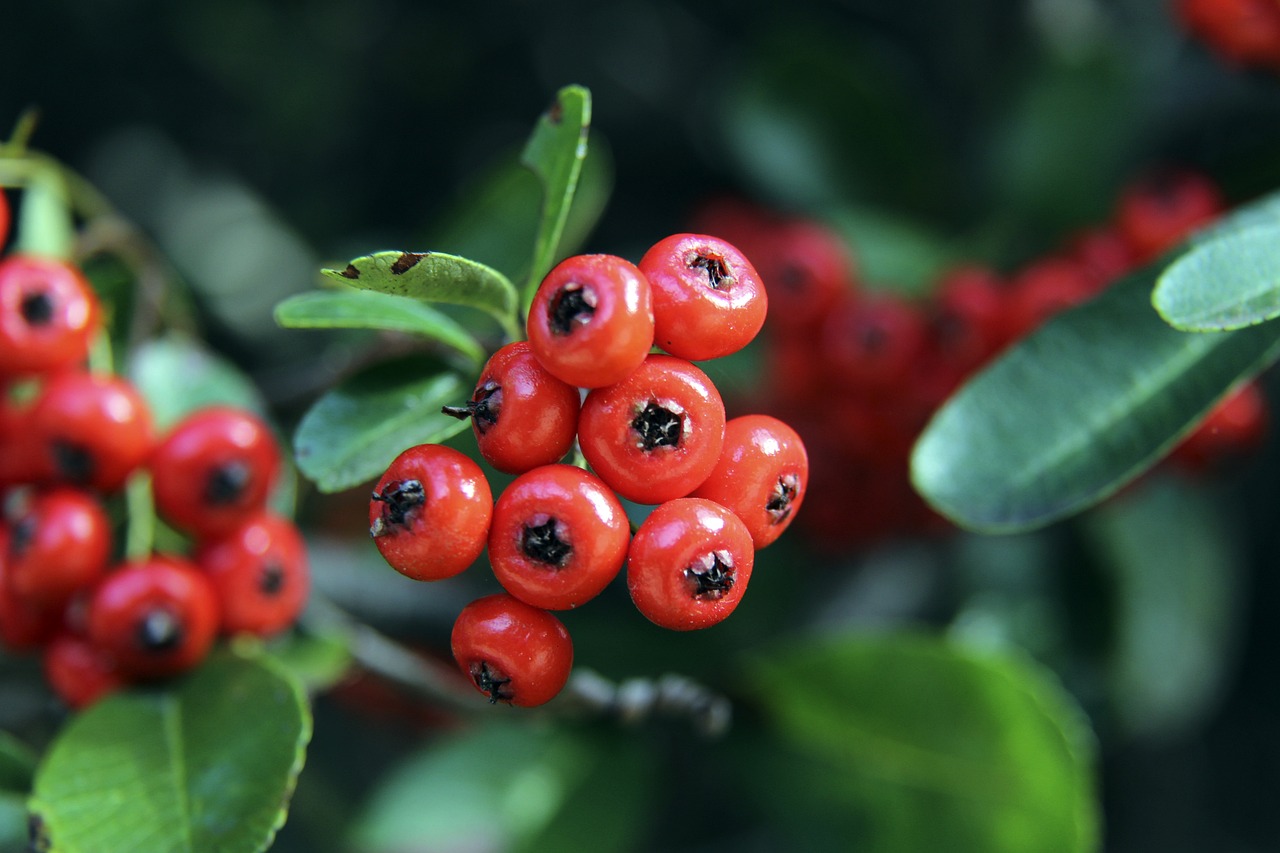 国家创造了 国家创造了