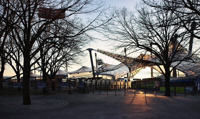 了完全不同 了完全不同