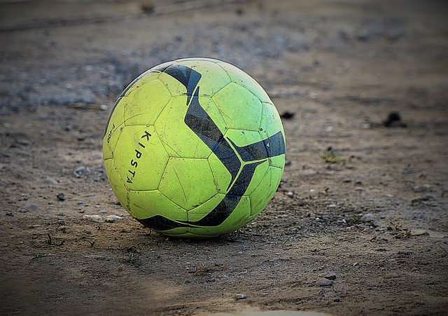 是不乏其人 是不乏其人