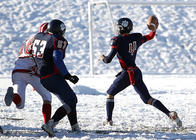 馈机制不仅 馈机制不仅